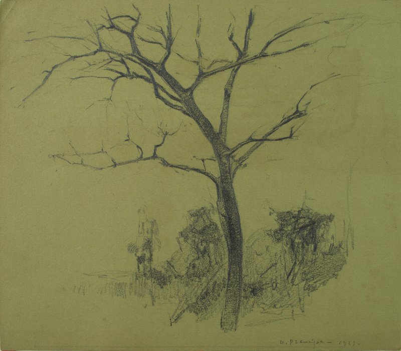 1923 - Albero